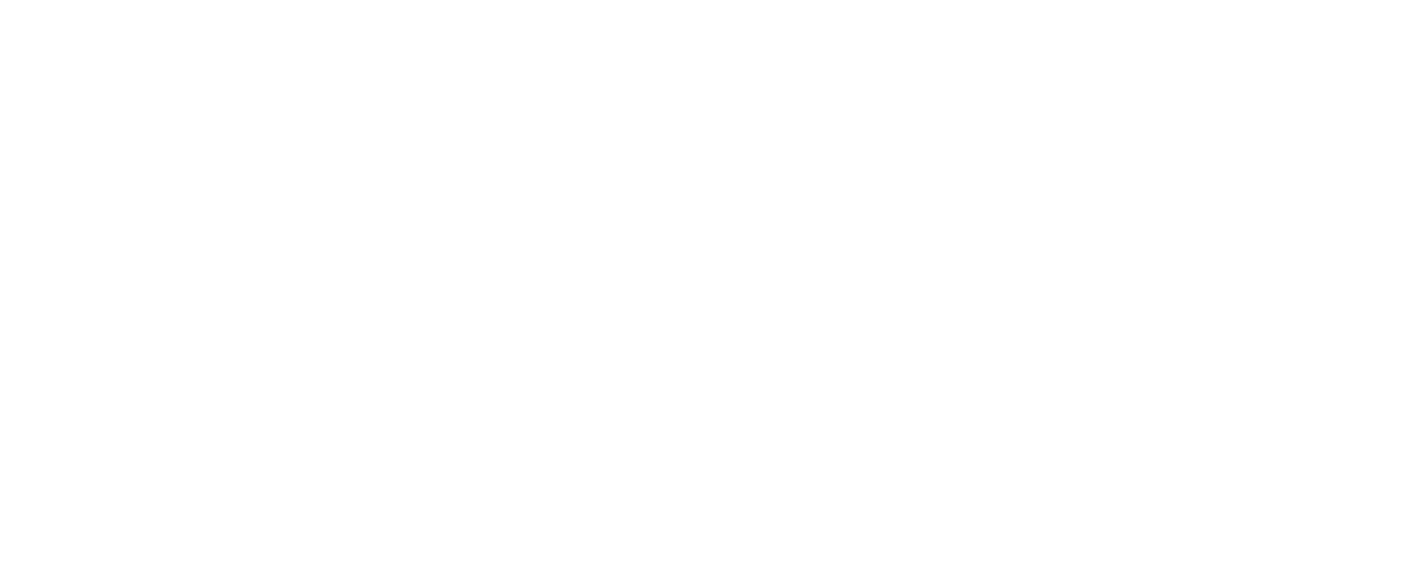 Navigators logo